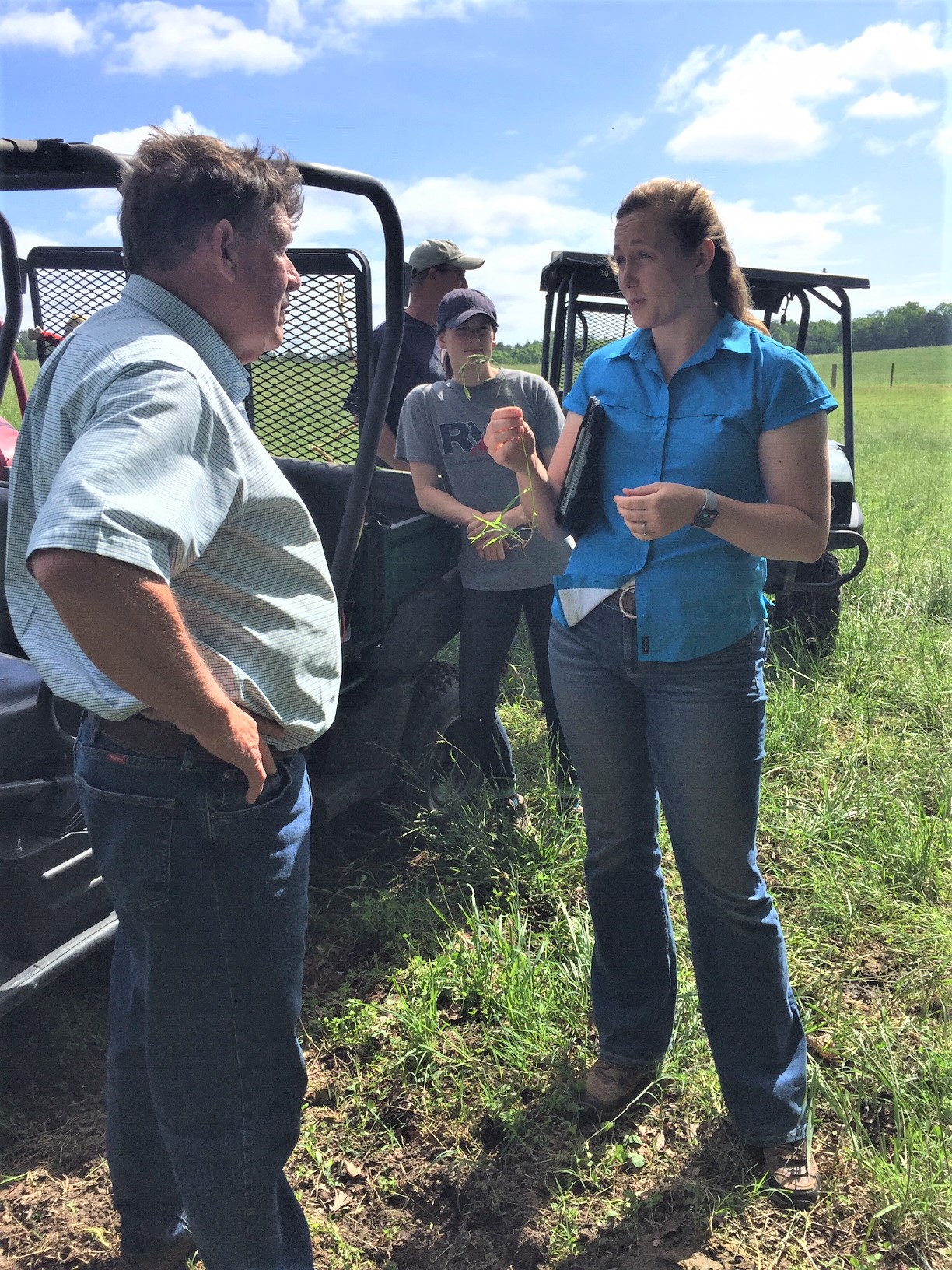 Forage consultants help beef livestock producers assess opportunities for improving forage quality.